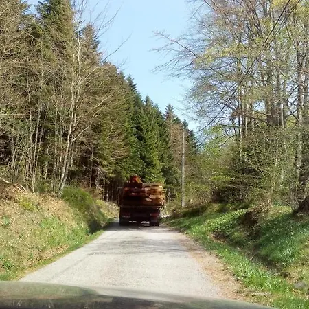 Charmante Vieille Ferme Du Grand Pere Prosper Proche Gerardmer Вилла Liezey