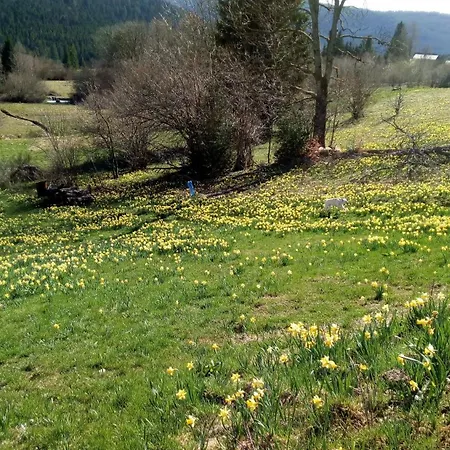Charmante Vieille Ferme Du Grand Père Prosper Proche Gérardmer Villa