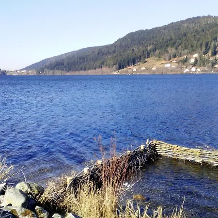 Charmante Vieille Ferme Du Grand Père Prosper Proche Gérardmer Villa *