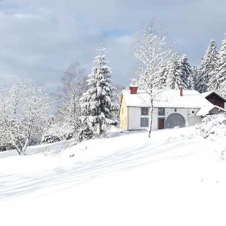 Charmante Vieille Ferme Du Grand Père Prosper Proche Gérardmer * Liézey