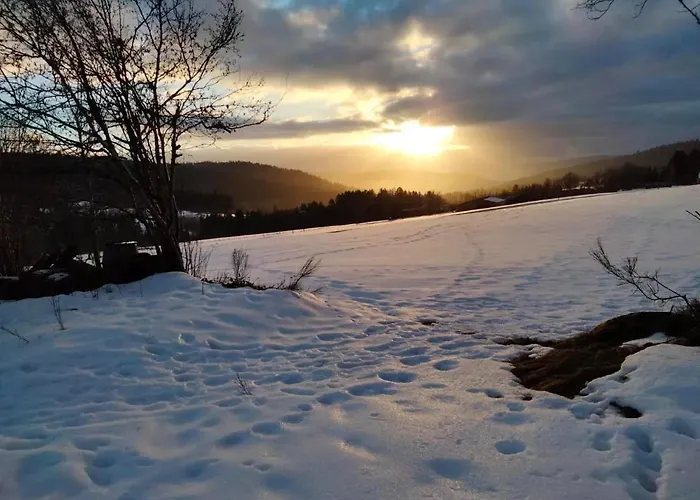 Charmante Vieille Ferme Du Grand Pere Prosper Proche Gerardmer
