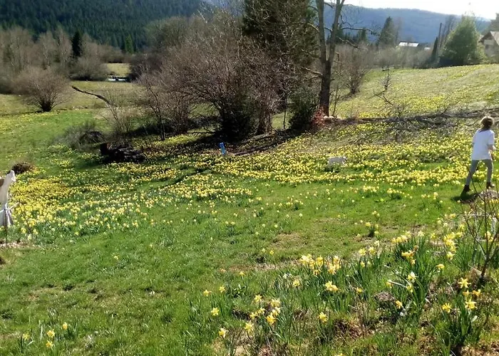 Charmante Vieille Ferme Du Grand Pere Prosper Proche Gerardmer Vila