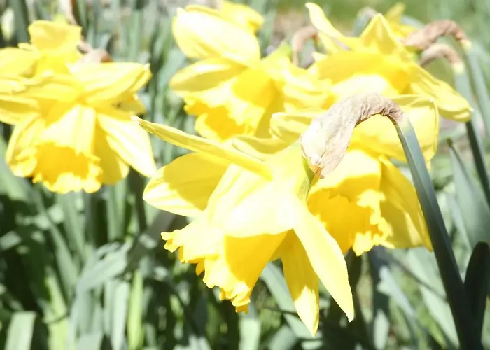 Charmante Vieille Ferme Du Grand Pere Prosper Proche Gerardmer * Liézey
