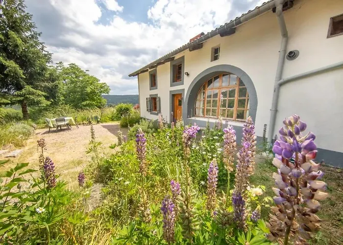 Charmante Vieille Ferme Du Grand Pere Prosper Proche Gerardmer * Liézey