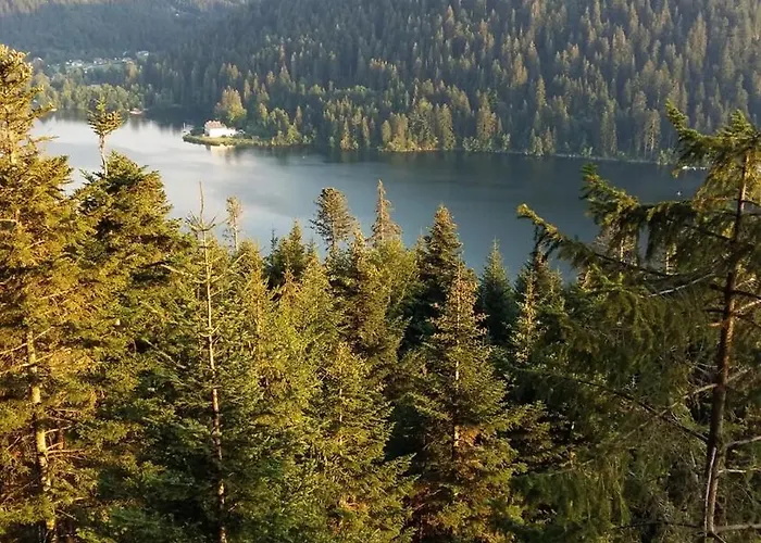 Charmante Vieille Ferme Du Grand Pere Prosper Proche Gerardmer *